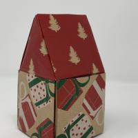 
<span>Panorama House Christmas Version</span>
