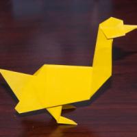 
<span>Goose</span>

