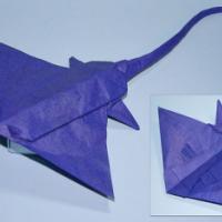 
<span>Stingray</span>
