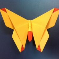 
<span>A Butterfly for Alice Gray</span>
