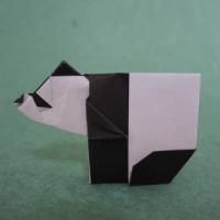 
<span>Giant panda</span>
