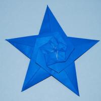 
<span>Starfish</span>
