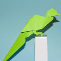 
<span>Quetzal</span>
