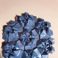 
<span>Star</span>
