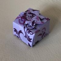 
<span>Twisted Box</span>
