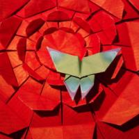 
<span>Butterfly</span>
