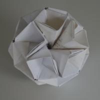 
<span>Collapsoid</span>
