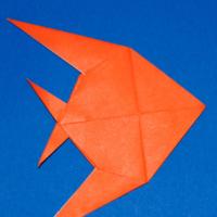 
<span>Butterfly Fish</span>
