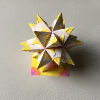 
<span>Origami Star</span>
