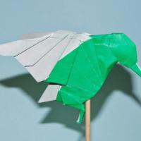 
<span>Hummingbird</span>
