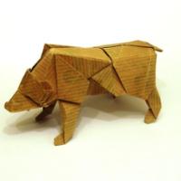 
<span>bear</span>
