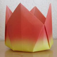 
<span>Tulip Cup</span>
