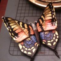 
<span>Old World Swallowtail</span>
