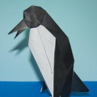 
<span>Penguin</span>
