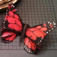 
<span>Monarch</span>
