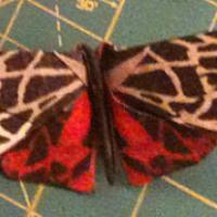 
<span>Cream-Spot Tiger Moth</span>
