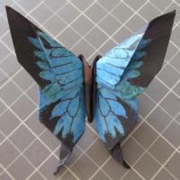 
<span>Ulysses</span>
