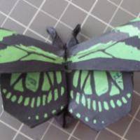 
<span>Dido Longwing</span>
