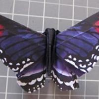 
<span>Red-Spotted Purple</span>
