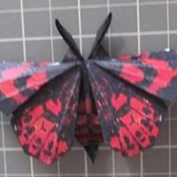 
<span>Painted Lady</span>
