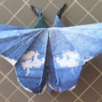 
<span>Common Blue</span>
