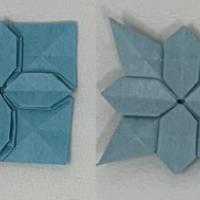 
<span>Hydrangea's Basic Form A variations</span>
