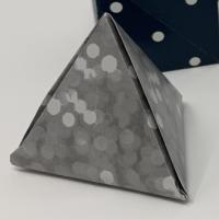 
<span>Tetrahedron</span>
