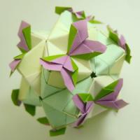 
<span>Butterfly Sonobe</span>
