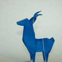 
<span>Deer</span>
