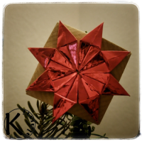 
<span>Star Nyota</span>
