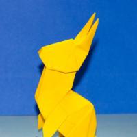 
<span>Rabbit</span>
