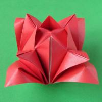 
<span>Rosa 2</span>

