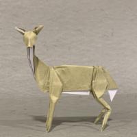 
<span>Whitetail Doe</span>
