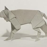 
<span>Bobcat</span>
