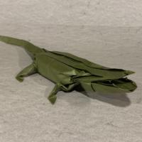 
<span>Alligator</span>
