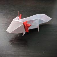 
<span>Axolotl</span>
