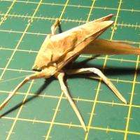 
<span>Mosquito</span>
