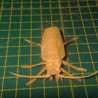 
<span>Titan Beetle</span>
