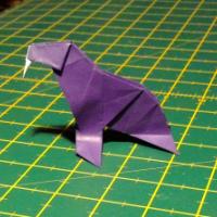 
<span>Walrus</span>
