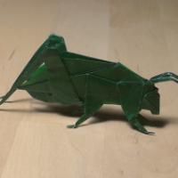 
<span>Grasshopper</span>
