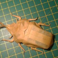 
<span>Japanese Horned Beetle</span>
