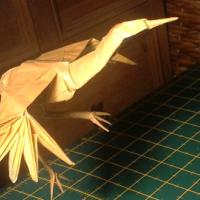 
<span>Dancing Crane</span>
