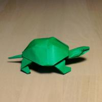 
<span>Turtle</span>
