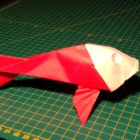 
<span>Koi</span>
