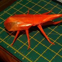 
<span>Hercules Beetle</span>

