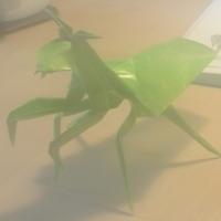 
<span>Praying Mantis</span>

