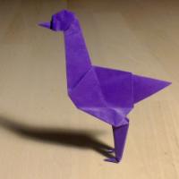 
<span>Emu</span>
