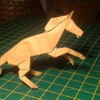 
<span>Alamo Stallion</span>
