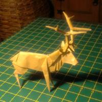 
<span>Roosevelt Elk</span>
