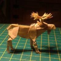 
<span>Bull Moose</span>
